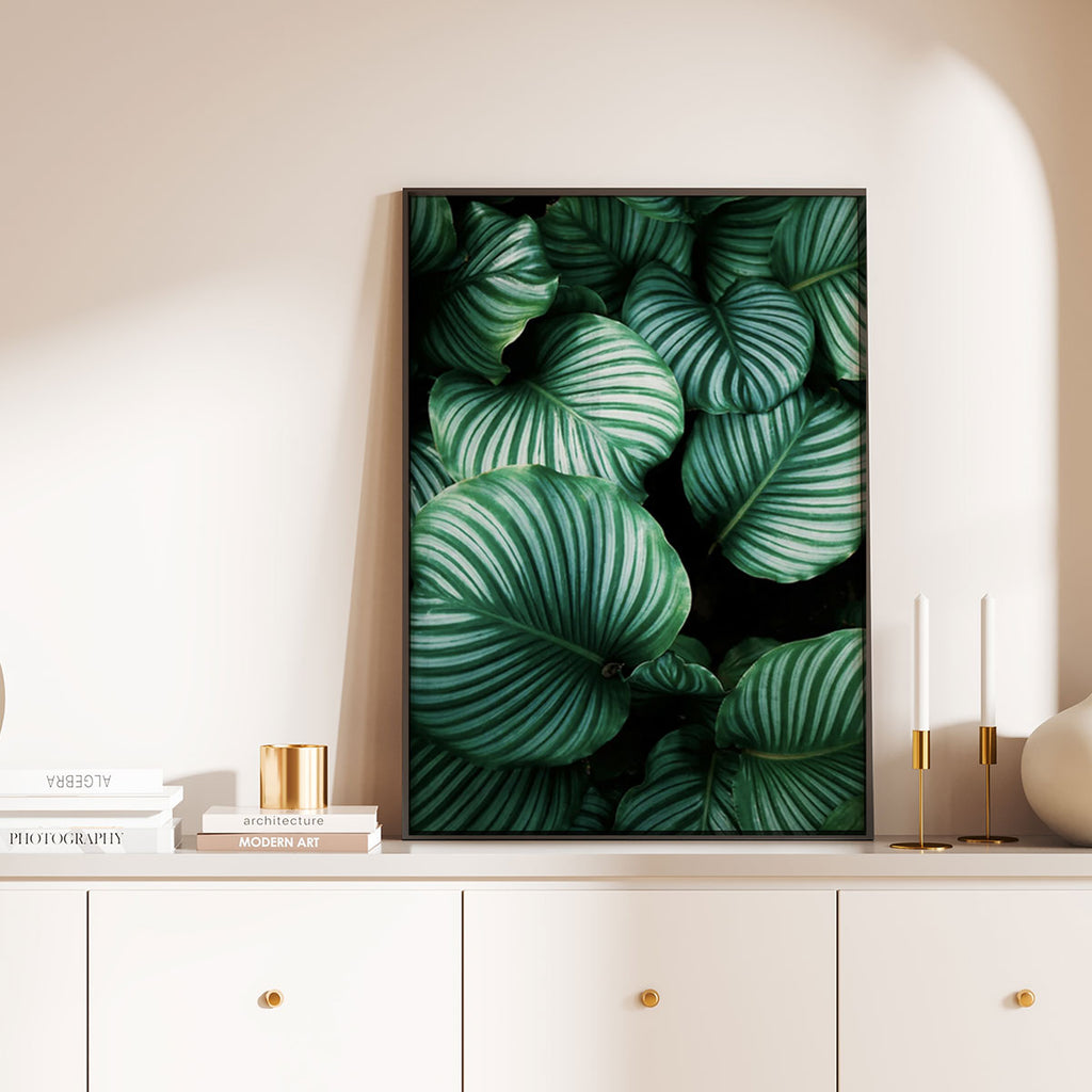 Lush Plants