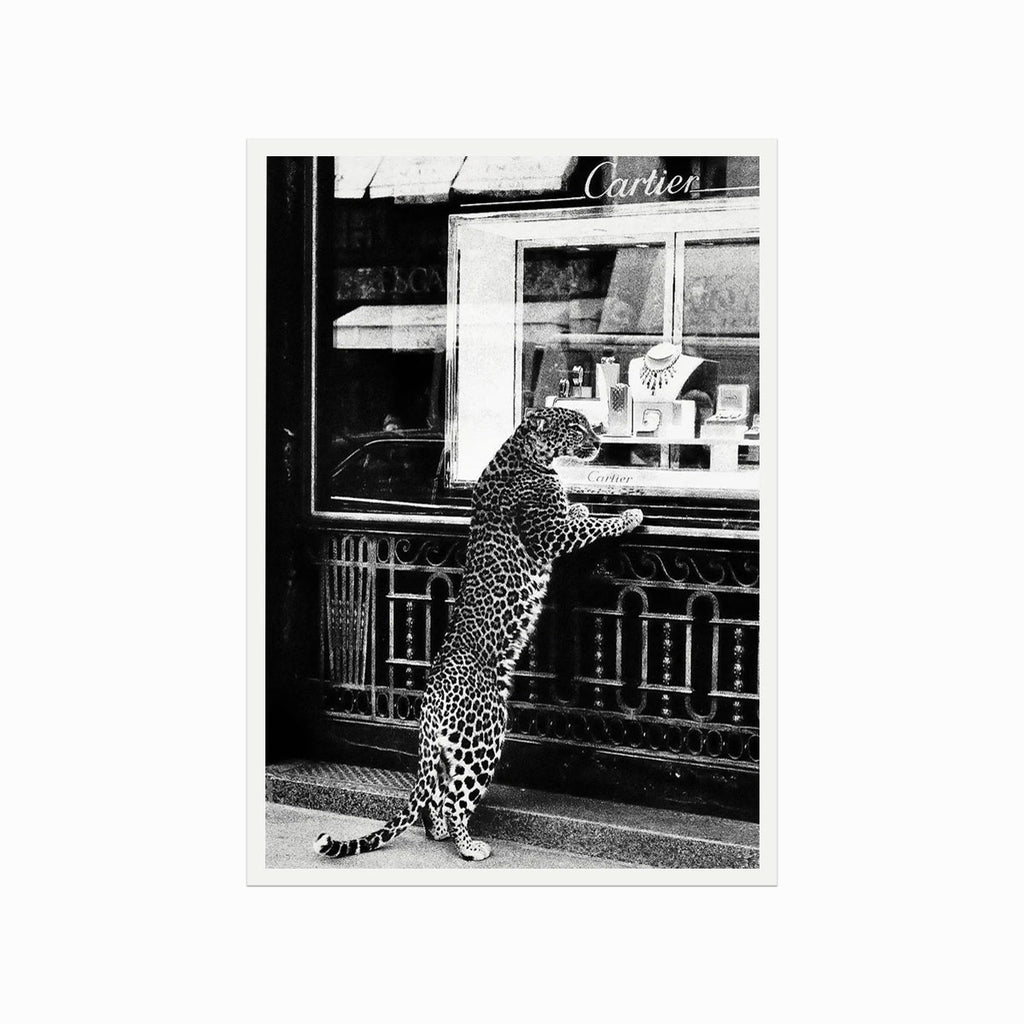 Fashion – Cartier (Cheetah at the jewellery store) art poster