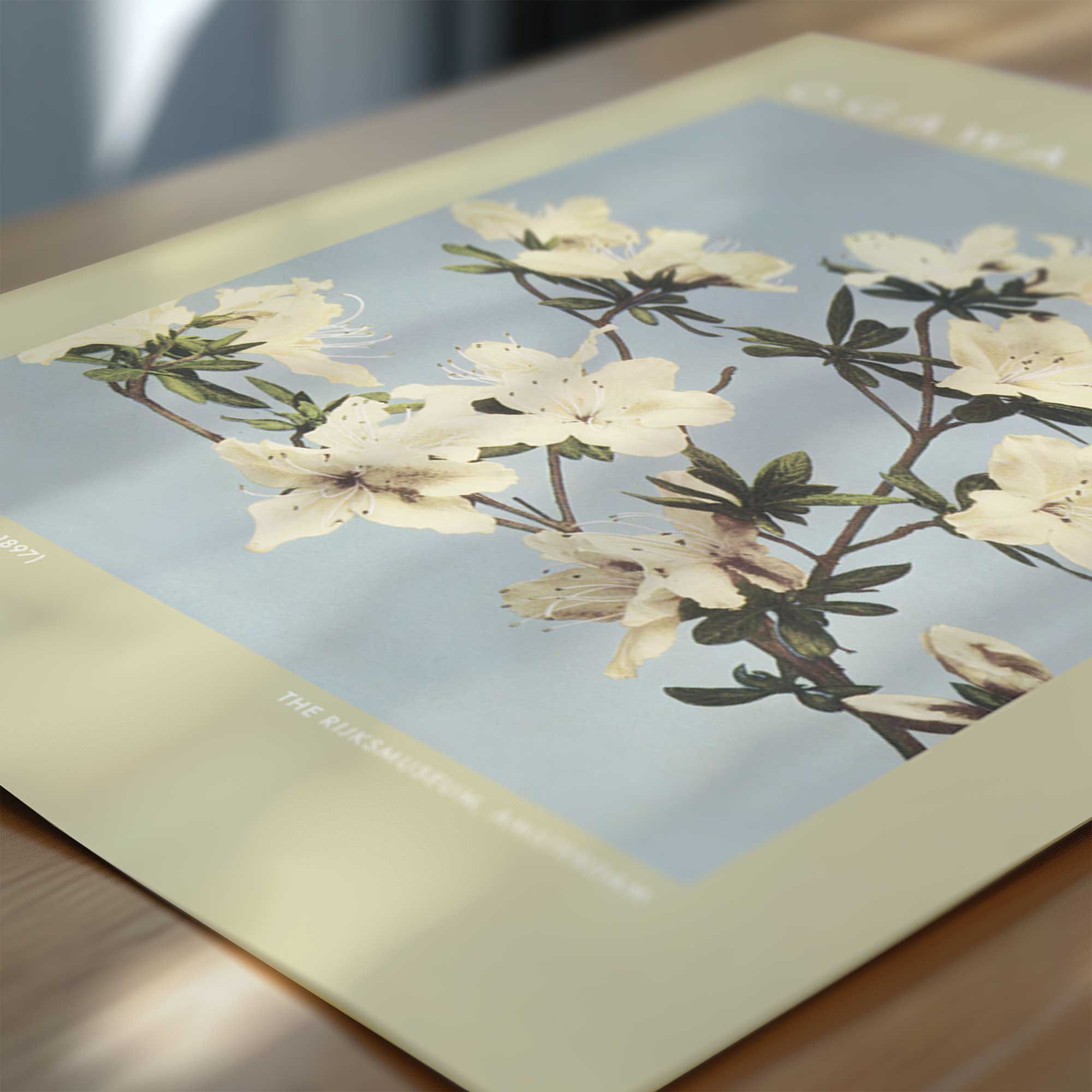 Ogawa Kazumasa – Japanese Azaleas