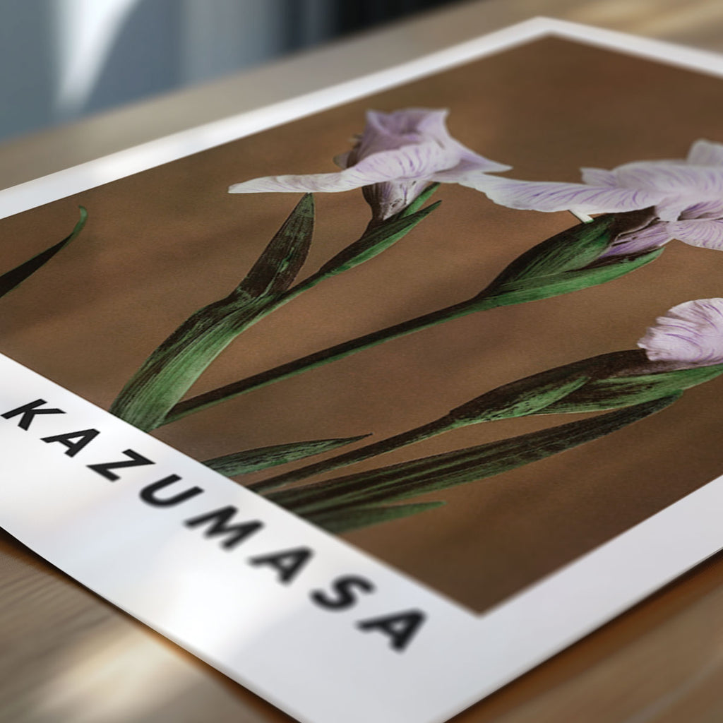 Ogawa Kazumasa – Iris