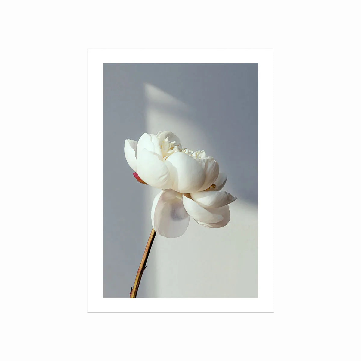 Blooming art poster