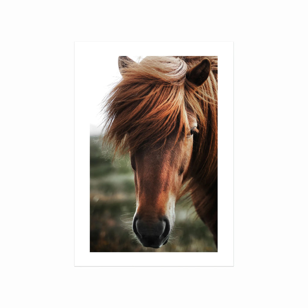 Chestnut Horse art poster