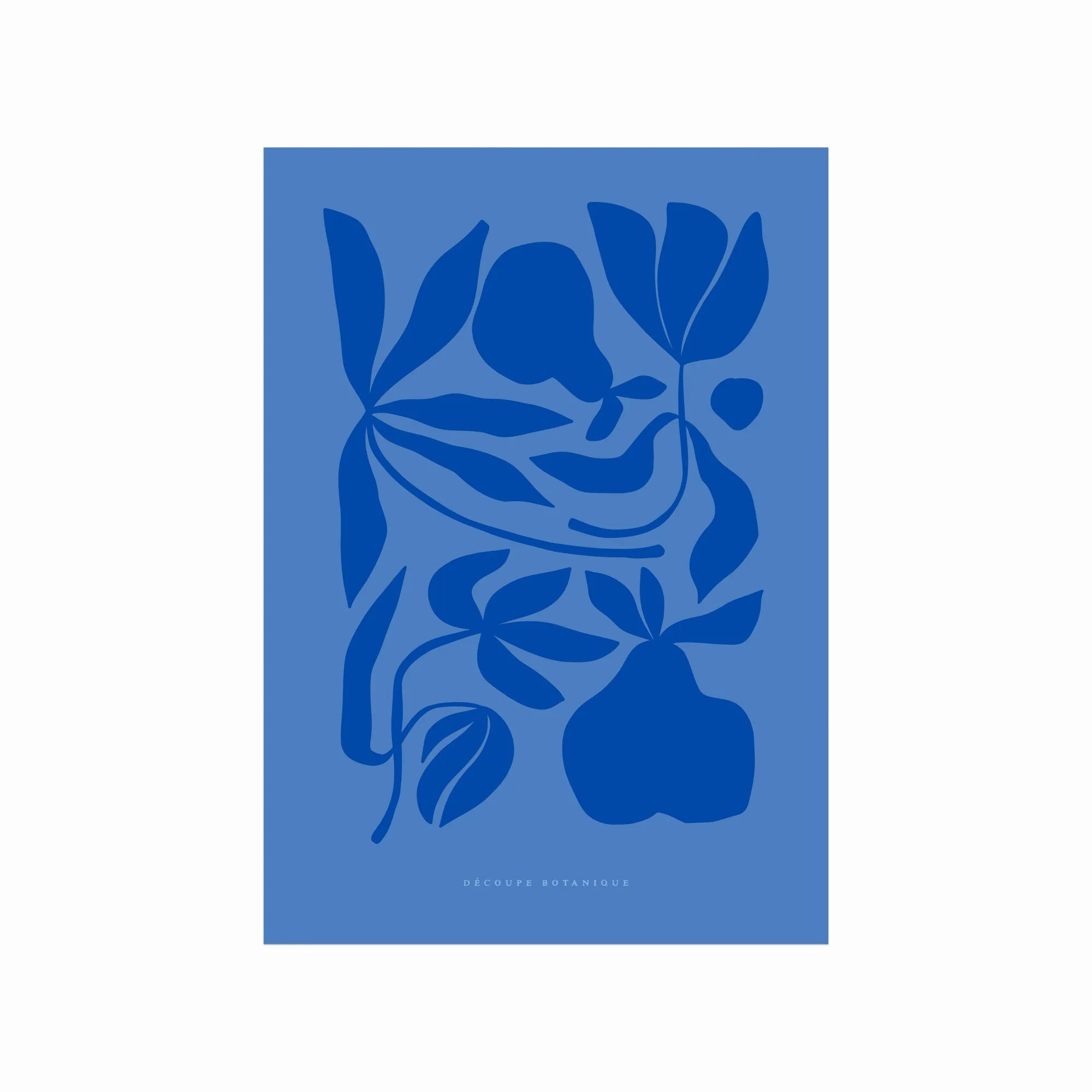 Découpe Botanique 01 art poster