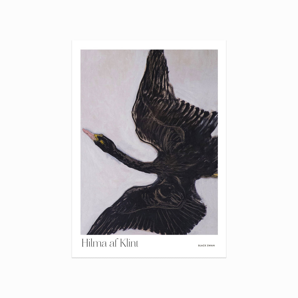 Hilma af Klint – Black Swan art poster