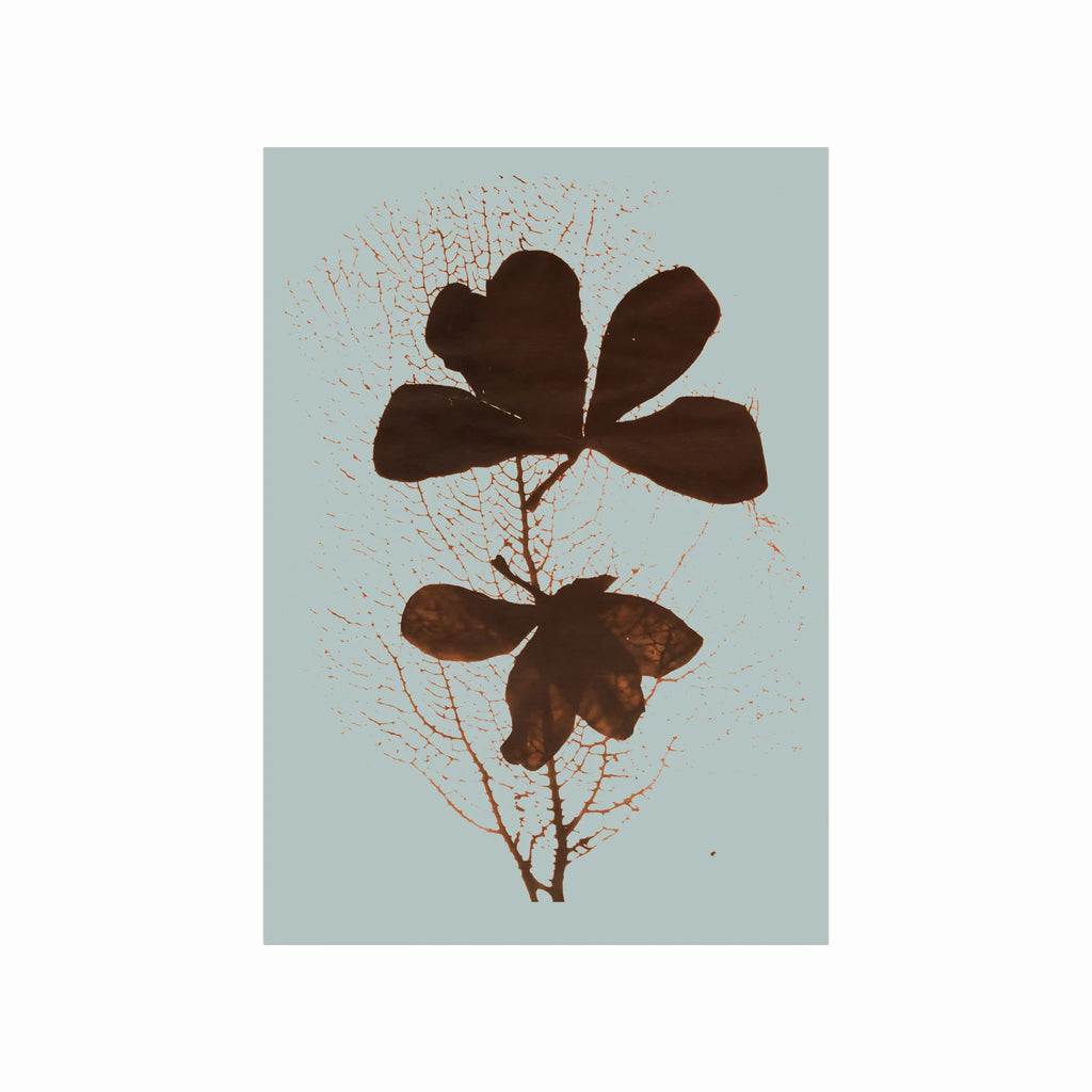 Imprint 01 art poster