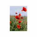 Flower Field art poster