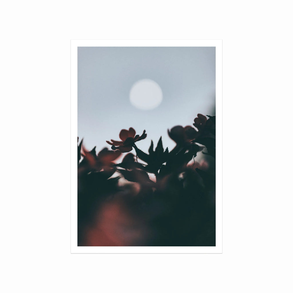 Harvest Moon art poster