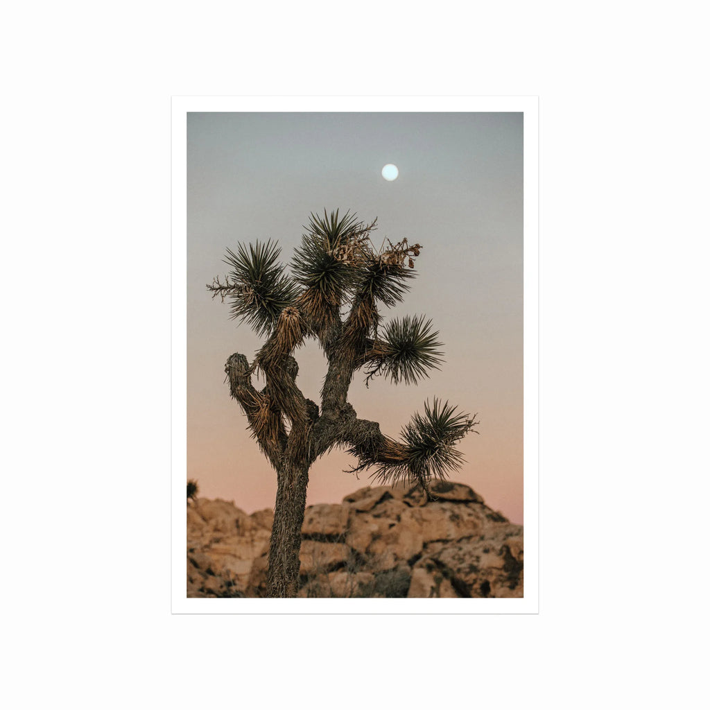 Joshua Tree art poster