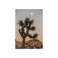 Joshua Tree art poster