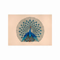 Pavo Cristatus art poster