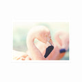 Pink Flamingo art poster