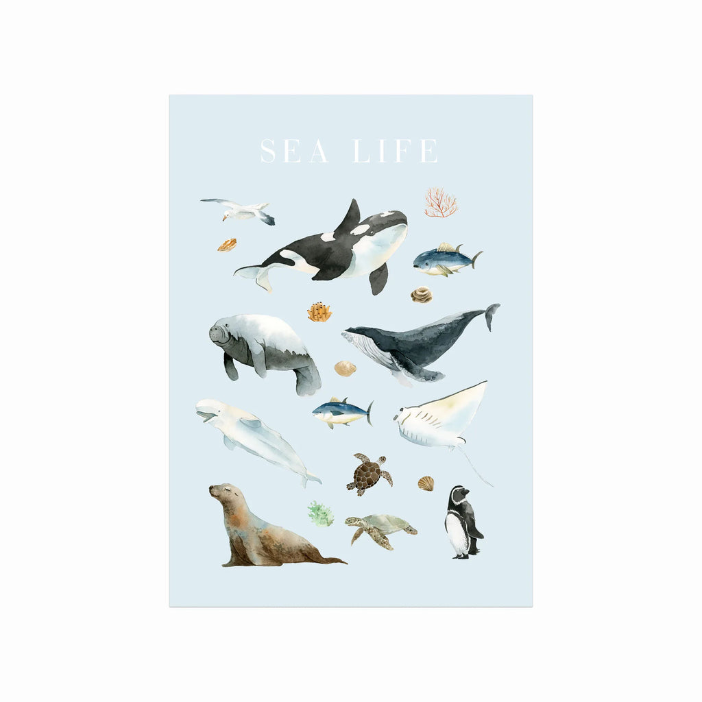 Sea Life art poster