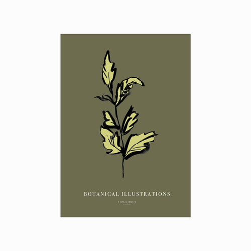 Botanical Illustrations – Leaf art poster