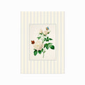 Vintage Cottage 01 art poster