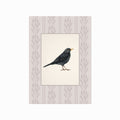 Vintage Cottage 06 art poster