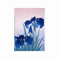 Iris flowers art poster