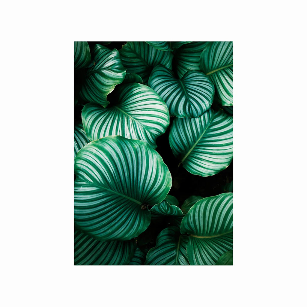 Lush Plants art poster