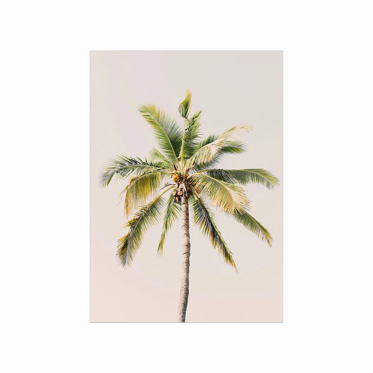 Palm I art poster
