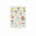Types of Mushrooms art poster