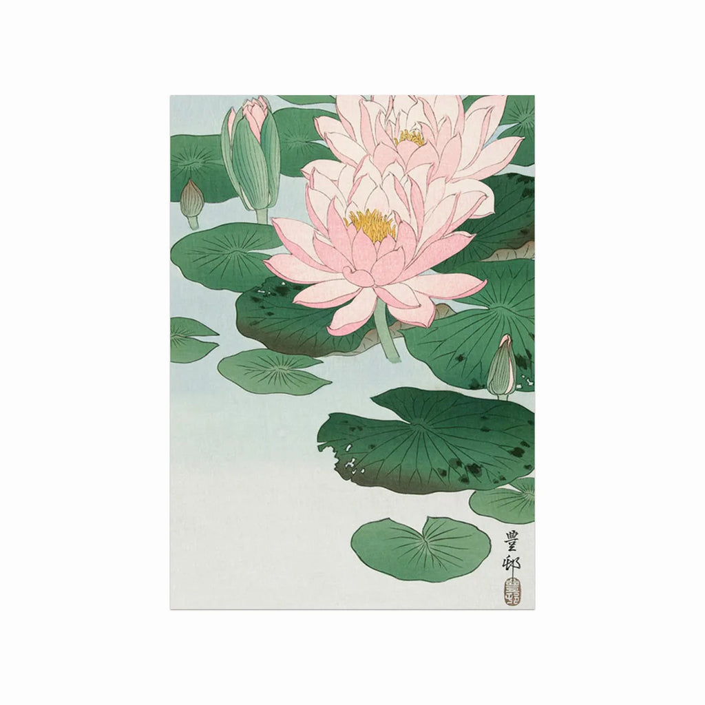 Water Lily art poster