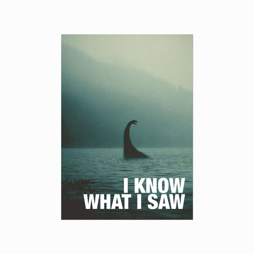 I Know What I Saw art poster