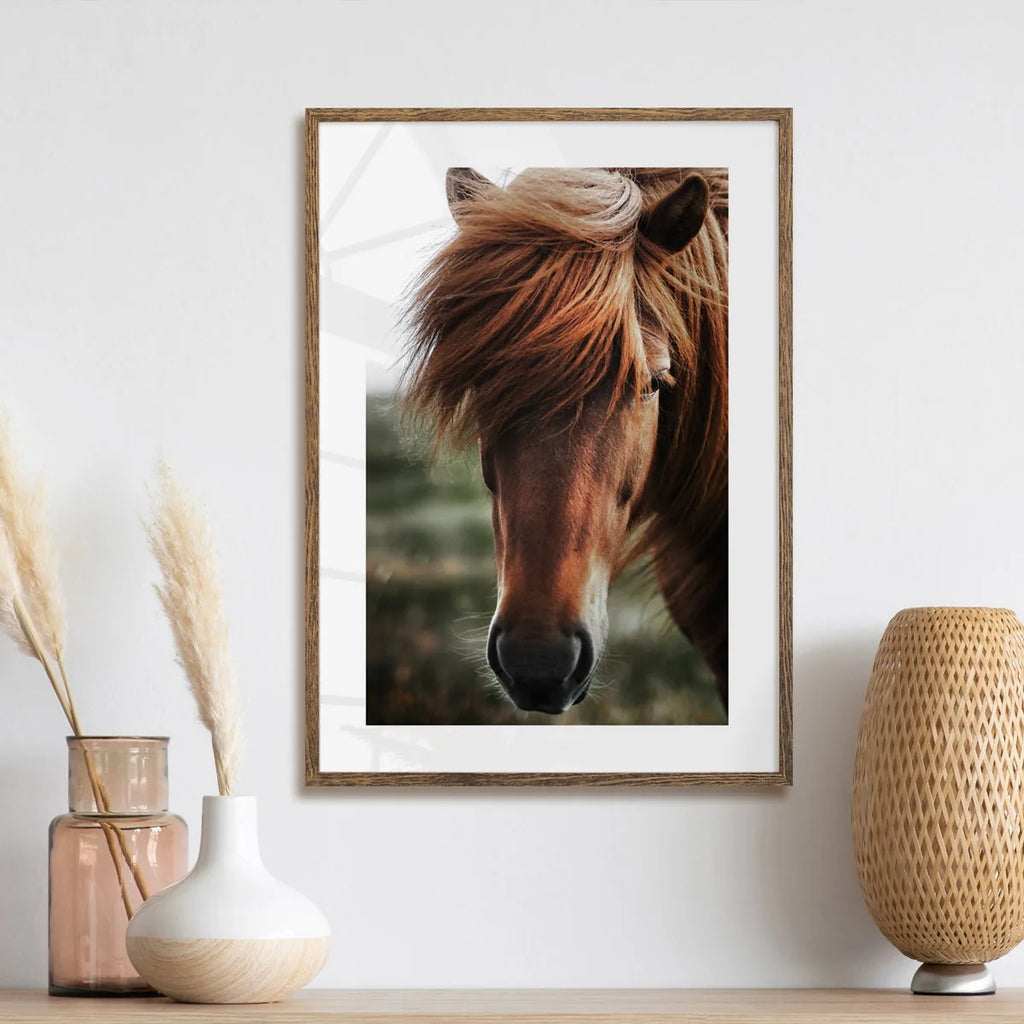 Chestnut Horse