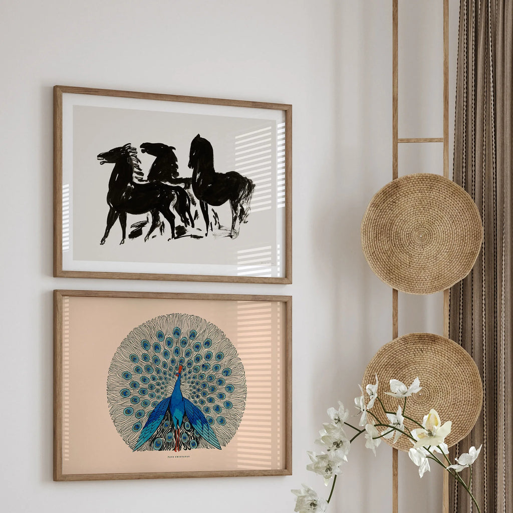 Duarte Pereira – Portuguese Horses