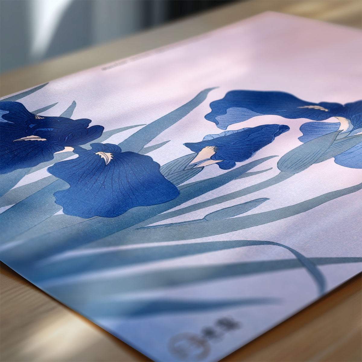 Iris flowers