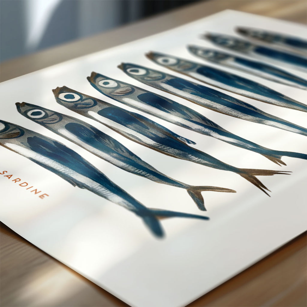 Sardin – Sardine