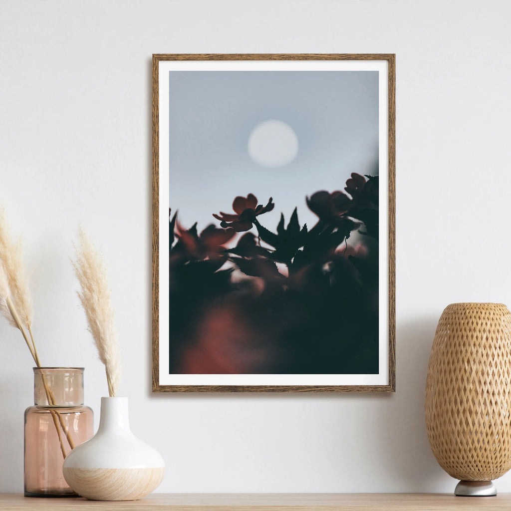 Harvest Moon