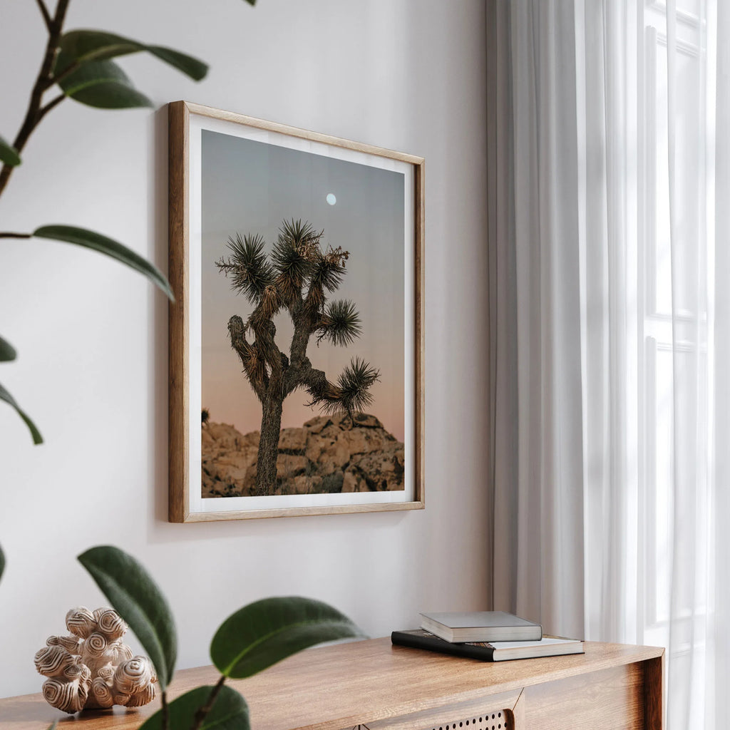 Joshua Tree