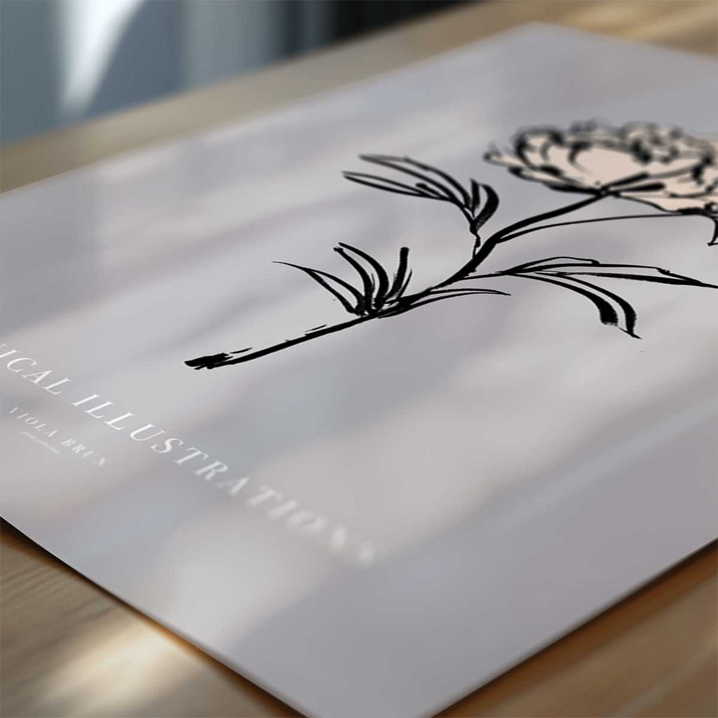 Botanical Illustrations – Peony